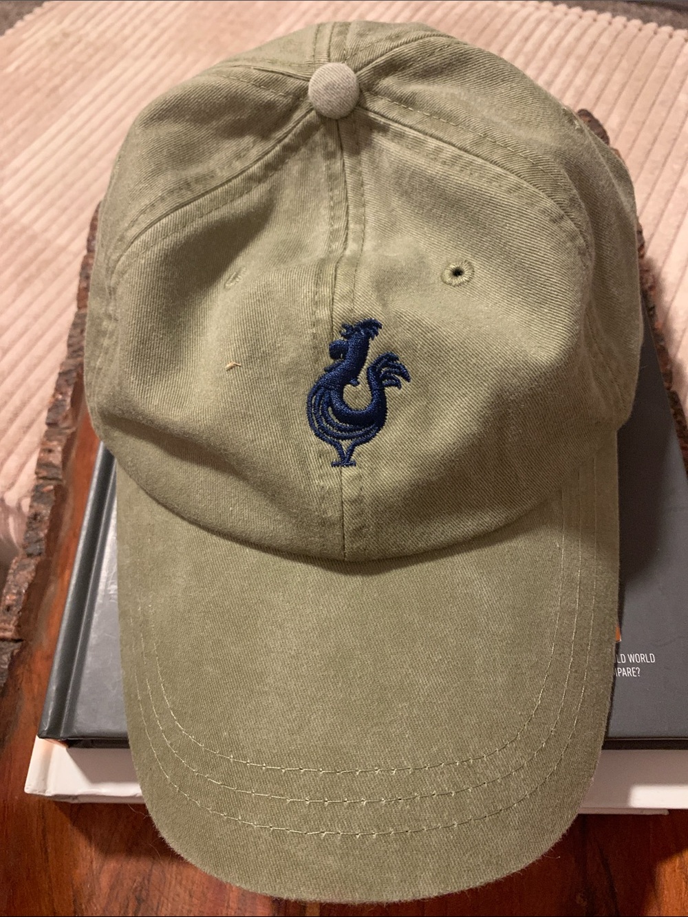 Fripp & Folly Logo Cap